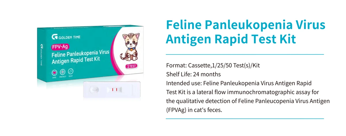 Introducing the Canine Coronavirus Antigen Rapid Test Kit: Ensuring Pet Wellness at Home