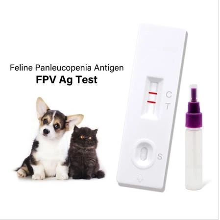 one step hcg pregnacy test kit