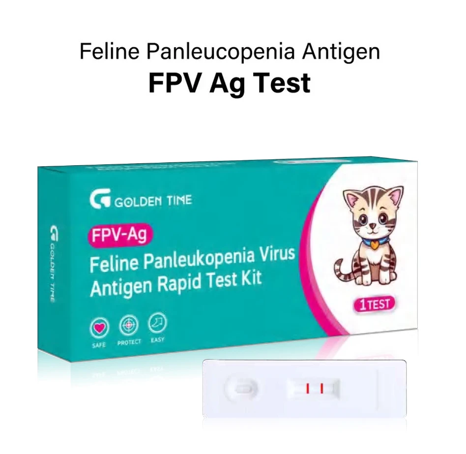one step h.pylori rapid test kit h pylori