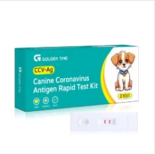 rapid test influenza