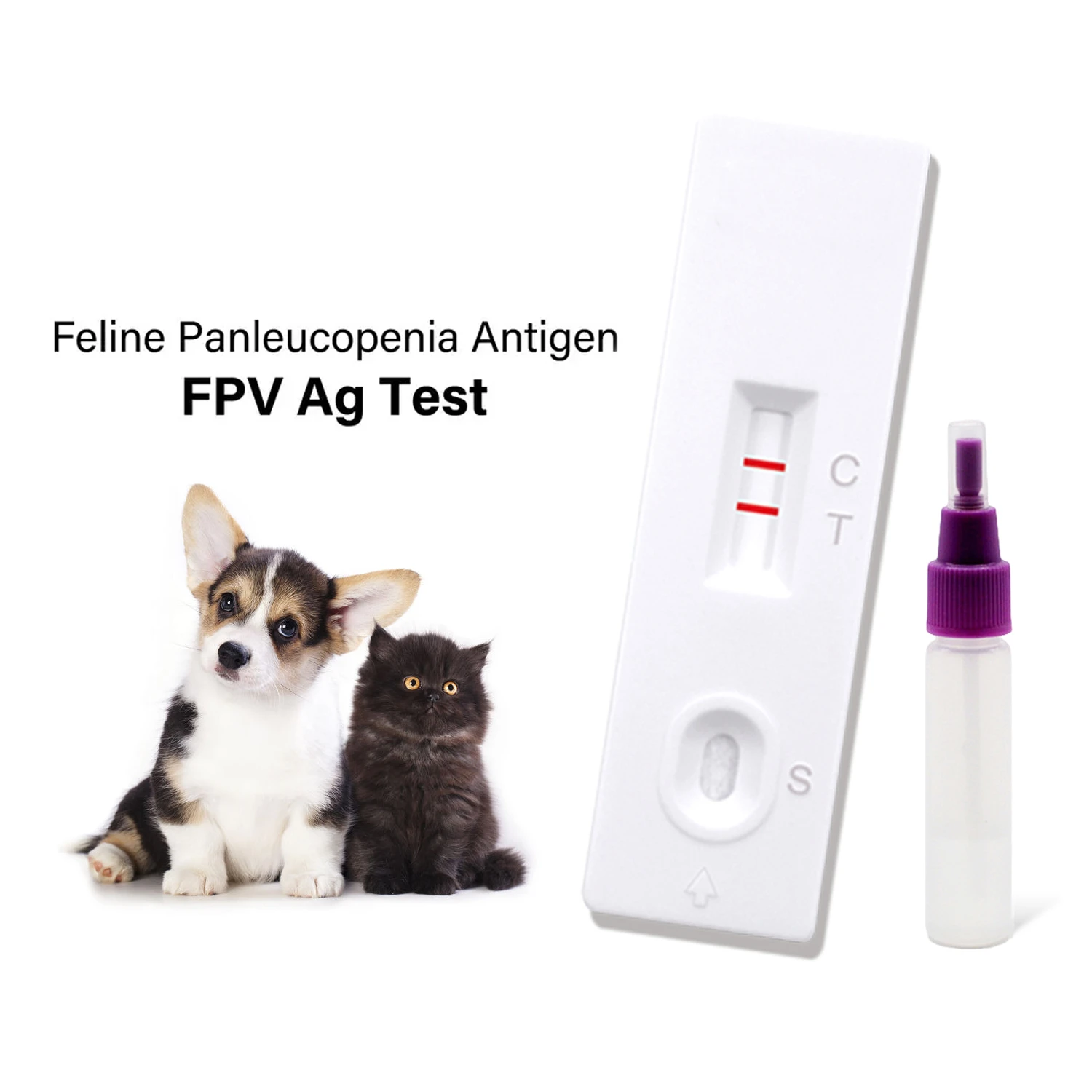 hiv test strips